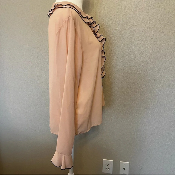 Zara  jewel button cascade ruffle blouse in pale pink and black size medium - Picture 12 of 15